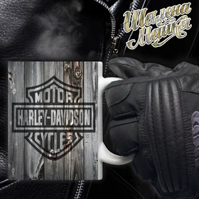 Прикольные кружки: Чашка Мото 061